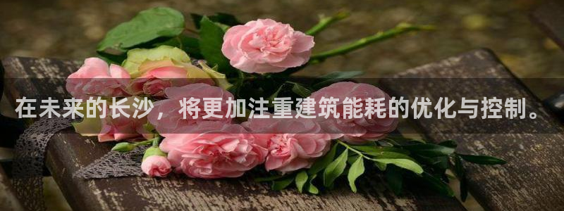 谁知道e尊国际的网址：在未来的长沙，将更加注重建筑能耗的优化与控制。