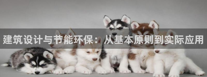 e尊国际-e尊国际官网：建筑设计与节能环保：从基本原则到实际应用