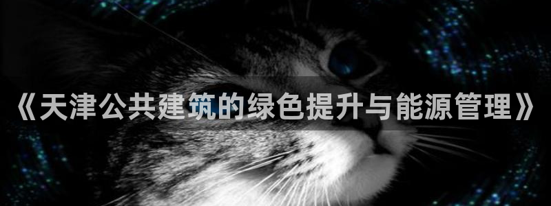 e尊国际是干什么的：《天津公共建筑的绿色提升与能源管理》