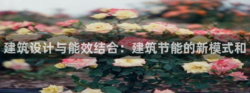e尊国际的手机登录网站：建筑设计与能效结合：建筑节能的新模式和