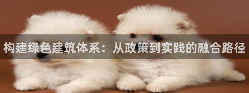 e尊国际地址：构建绿色建筑体系：从政策到实践的融合路径