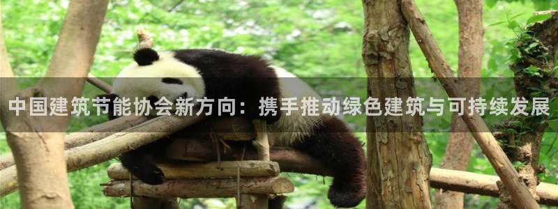 e尊电竞：中国建筑节能协会新方向：携手推动绿色建筑与可持续发展