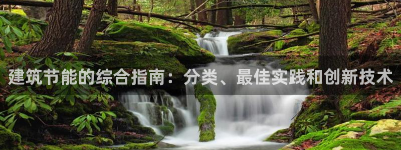 e尊国际是干什么的：建筑节能的综合指南：分类、最佳实践和创新技术