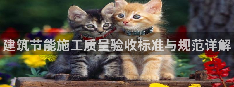 e尊国际平台：建筑节能施工质量验收标准与规范详解