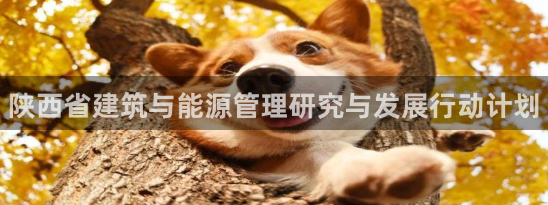e尊国际娱乐官网地址：陕西省建筑与能源管理研究与发展行动计划