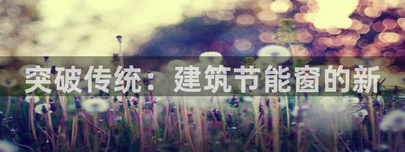 e尊国际app：突破传统：建筑节能窗的新