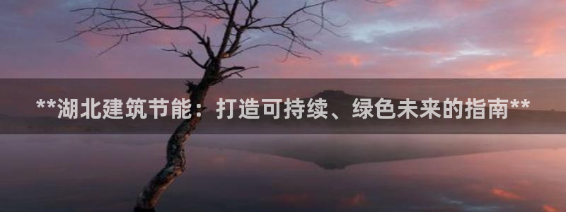 e尊国际可靠吗：**湖北建筑节能：打造可持续、绿色未来的指南**