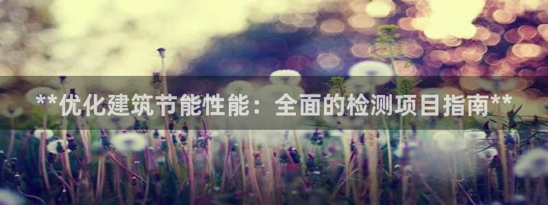 e尊国际地址：**优化建筑节能性能：全面的检测项目指南**